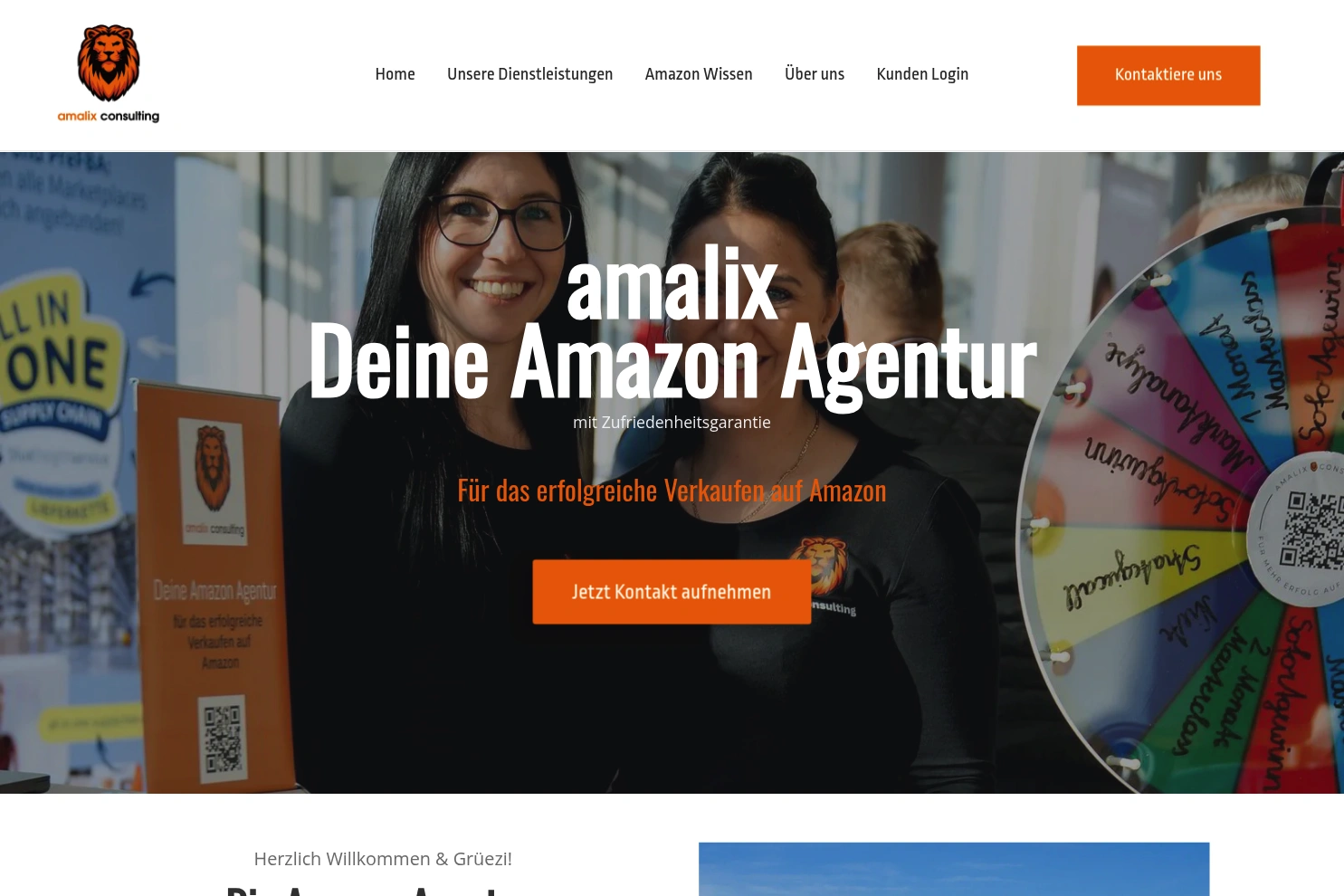 Preview of amalix Consulting