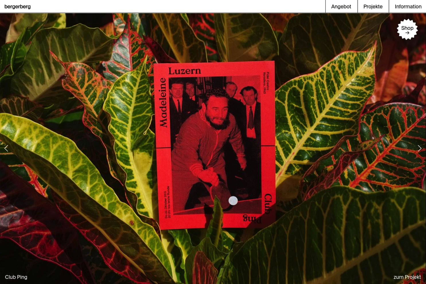 Preview of bergerberg