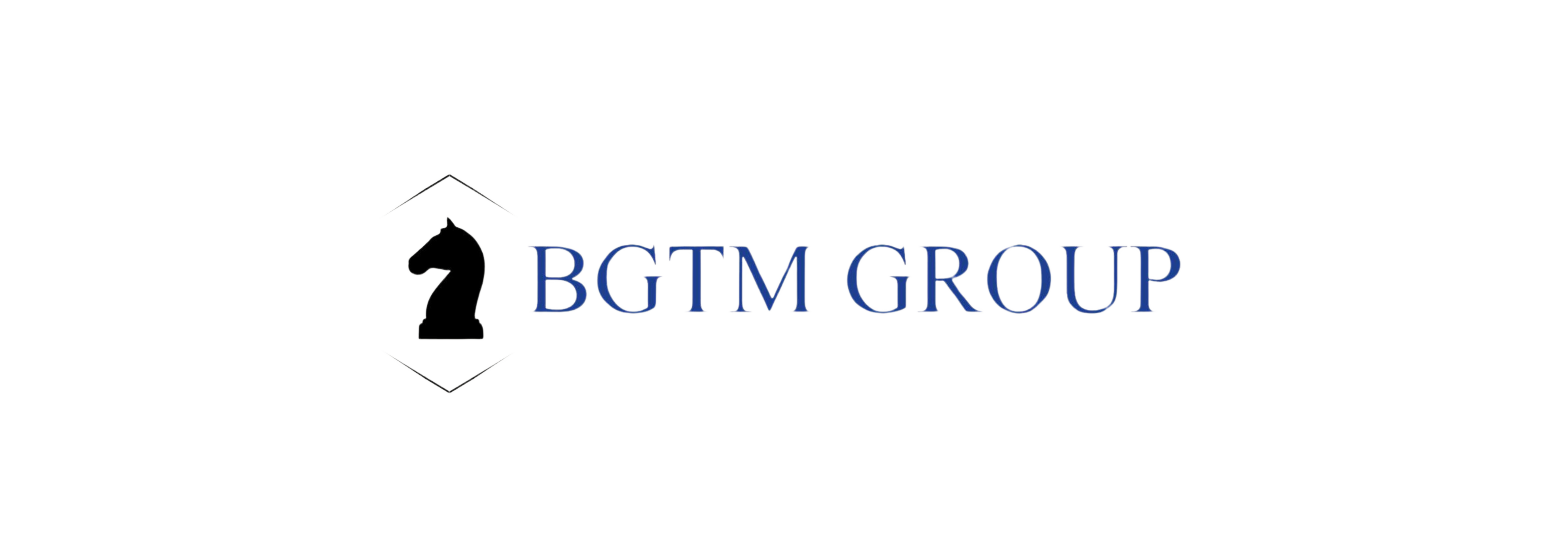 Preview of BGTM Group