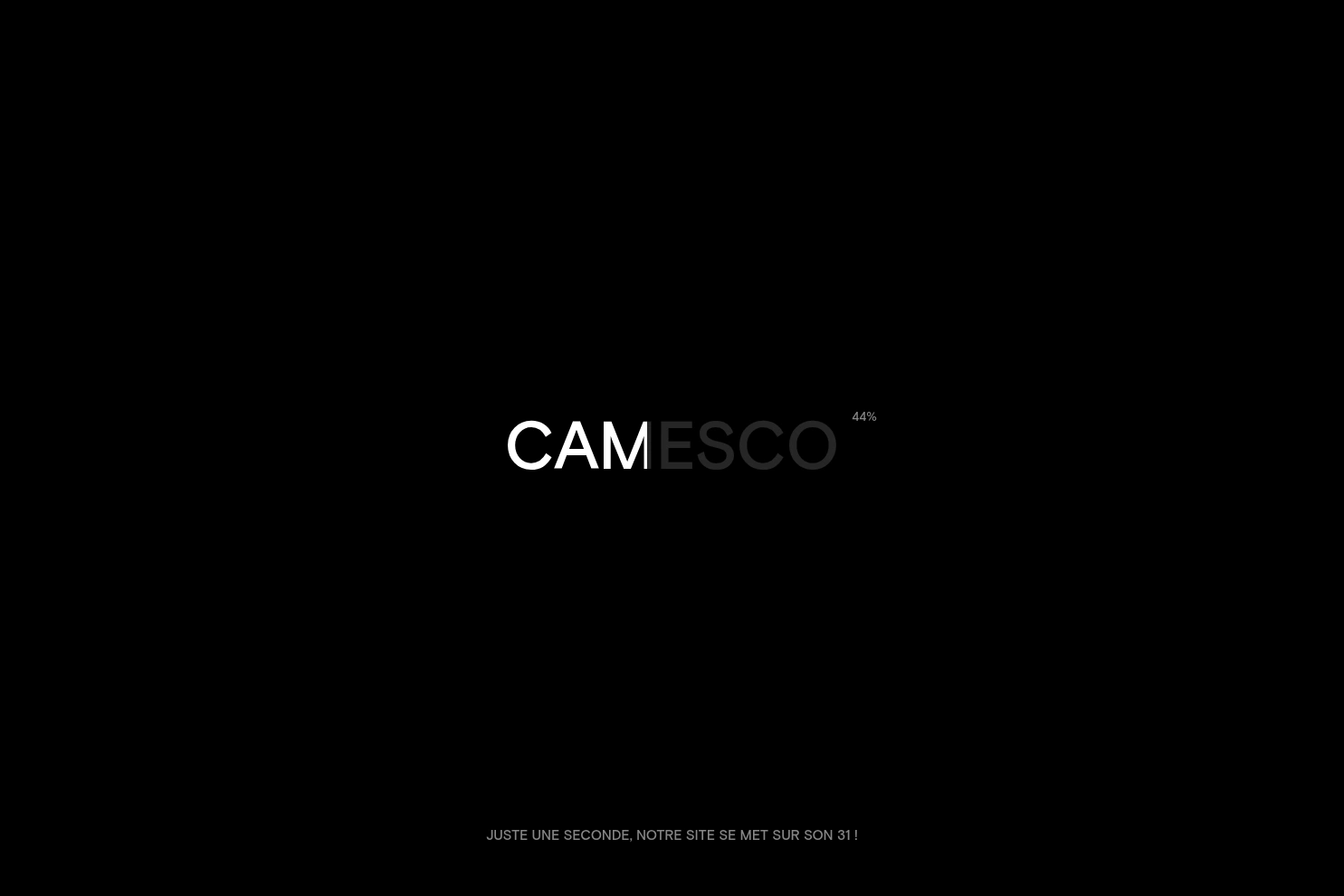 Preview of Camesco - Agence de communication