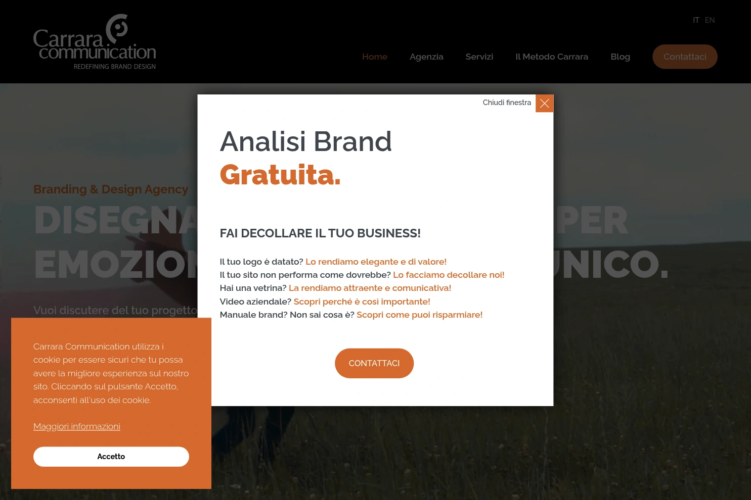 Preview of Carrara Communication