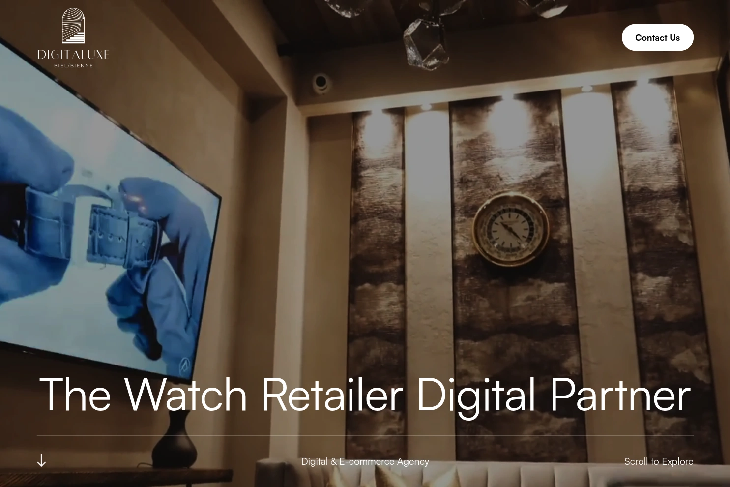 Preview of Digitaluxe｜E-commerce & Digital