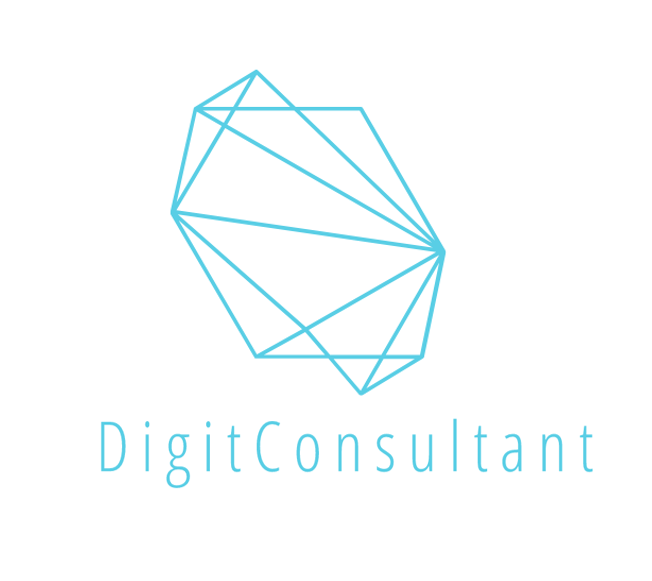 Preview of DigitConsultant