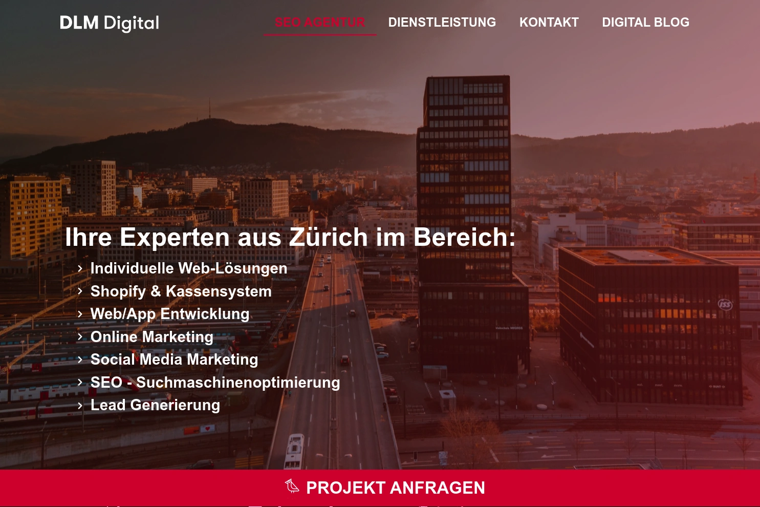 Preview of DLM Digital - SEO Agentur & Digital Agentur