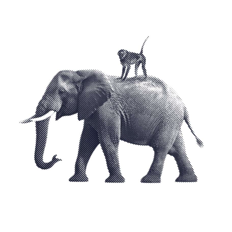 Preview of Elephants & Monkeys I Digital- und KI-Agentur aus Basel
