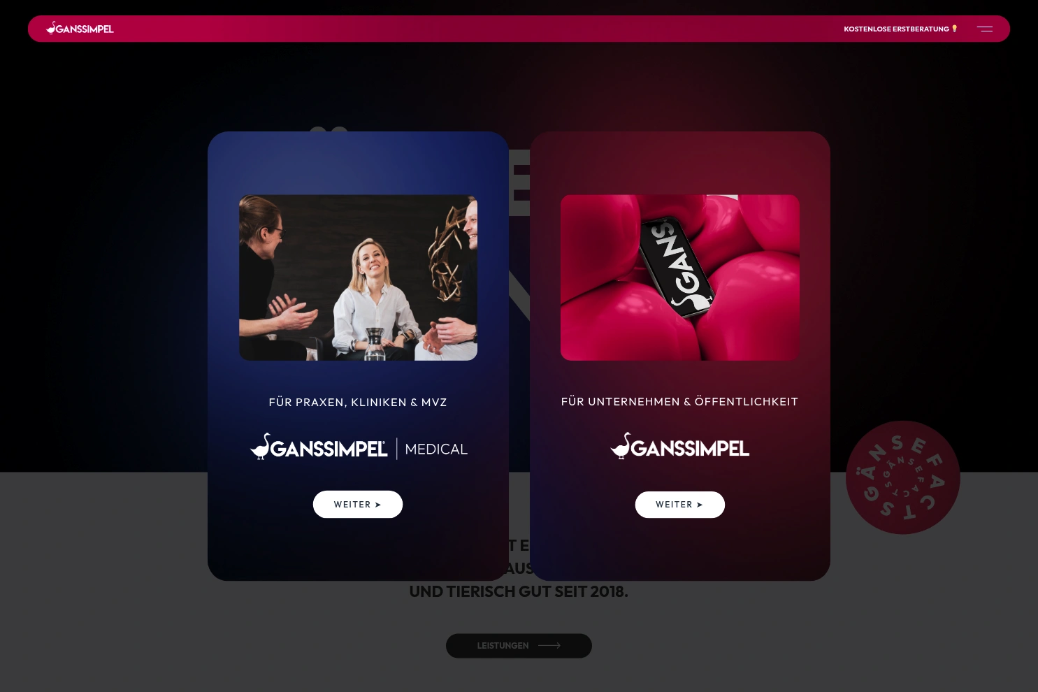 Preview of Ganssimpel | Gänsehaut garantiert. | Werbe- & Praxisagentur Schaffhausen