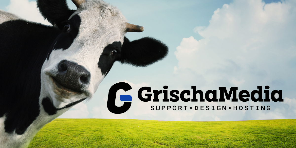 Preview of GrischaMedia