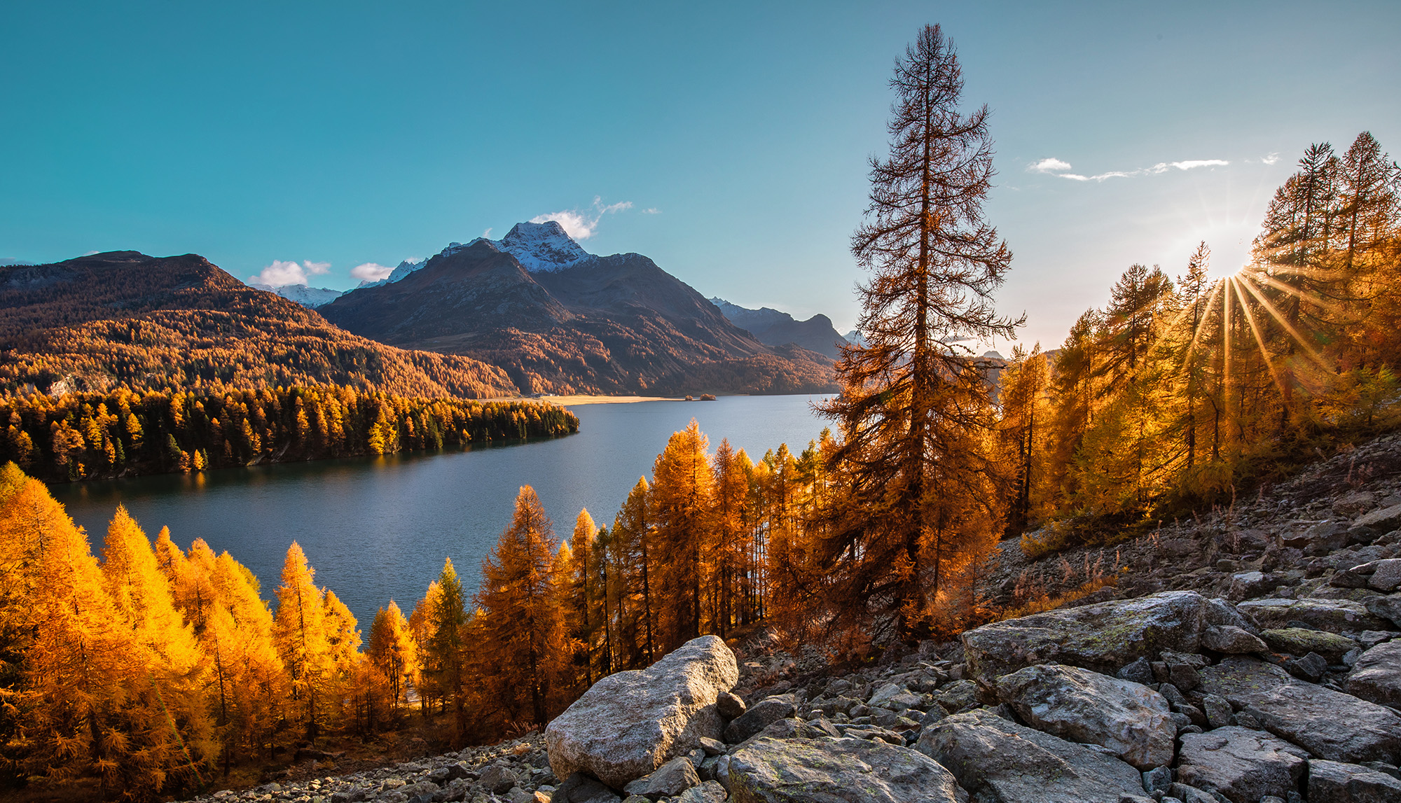 Preview of GTA Design