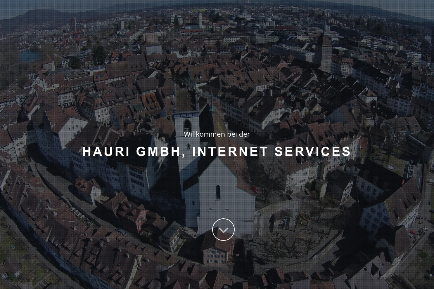 Preview of Hauri GmbH, Internet Services