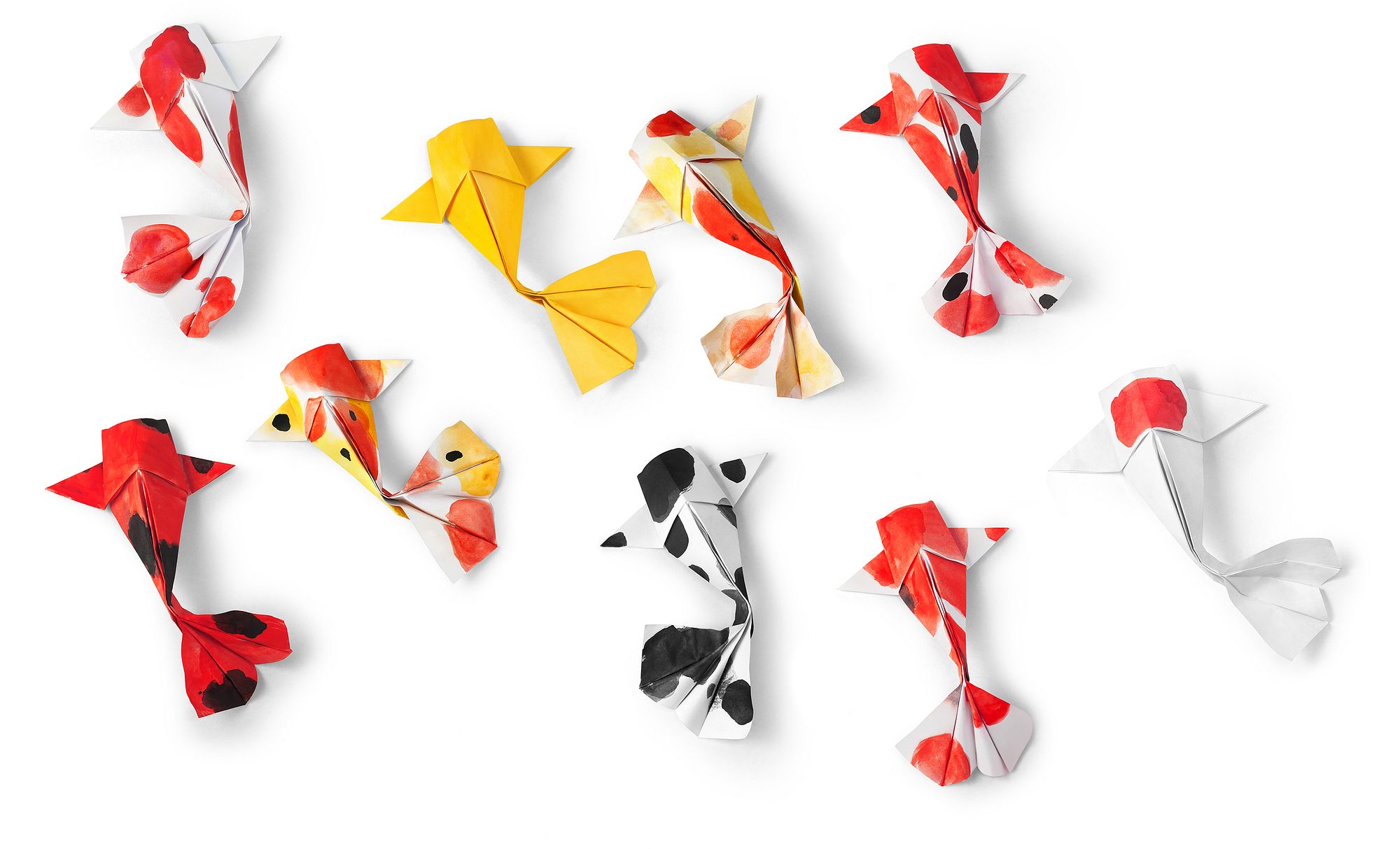 Preview of .hausformat AG | Agentur für digitale Medien