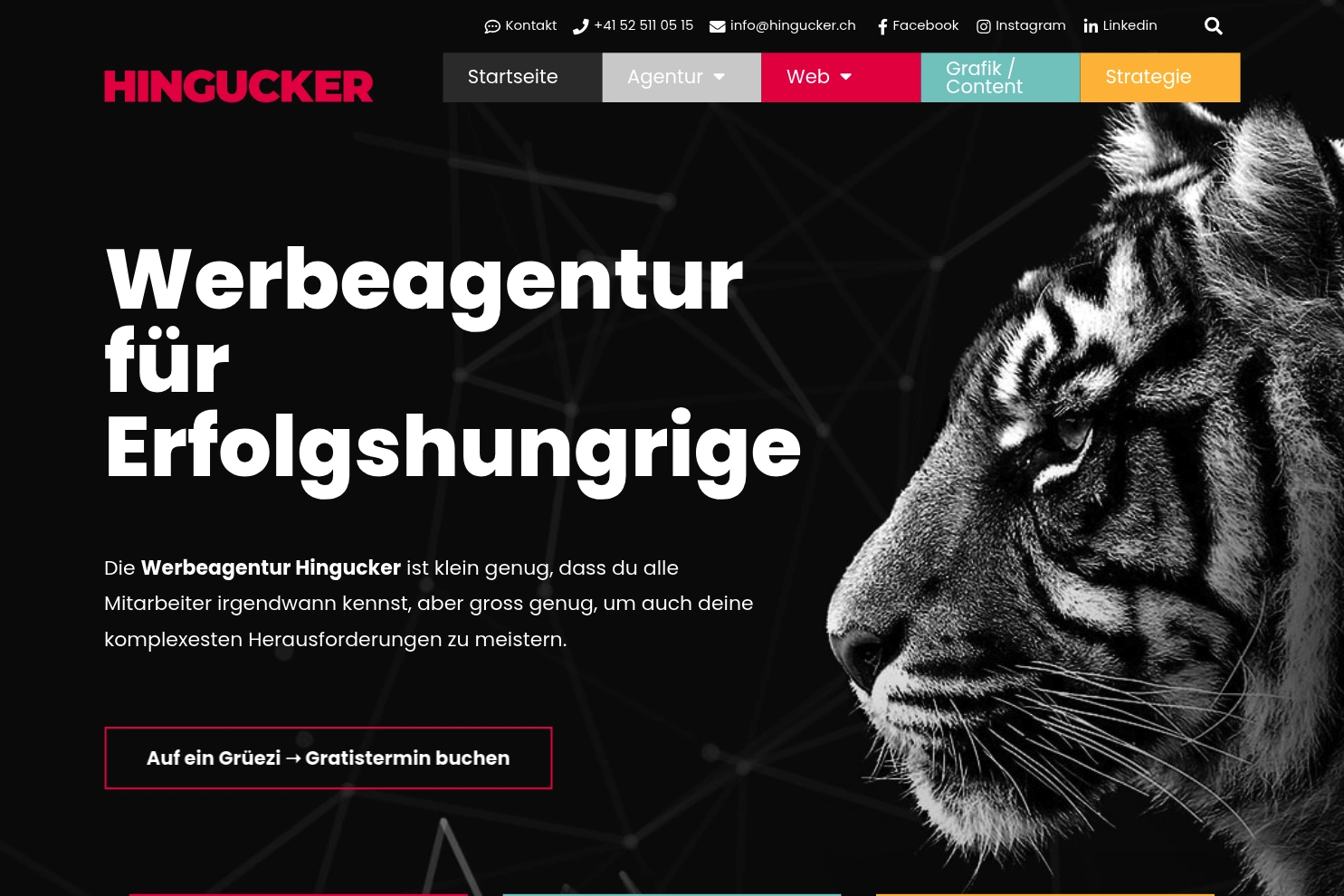 Preview of Werbeagentur Hingucker GmbH