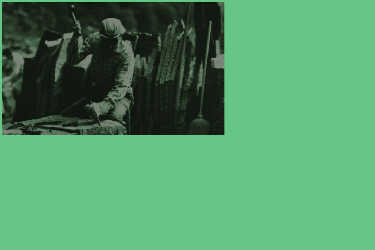 Preview of hse trutmann