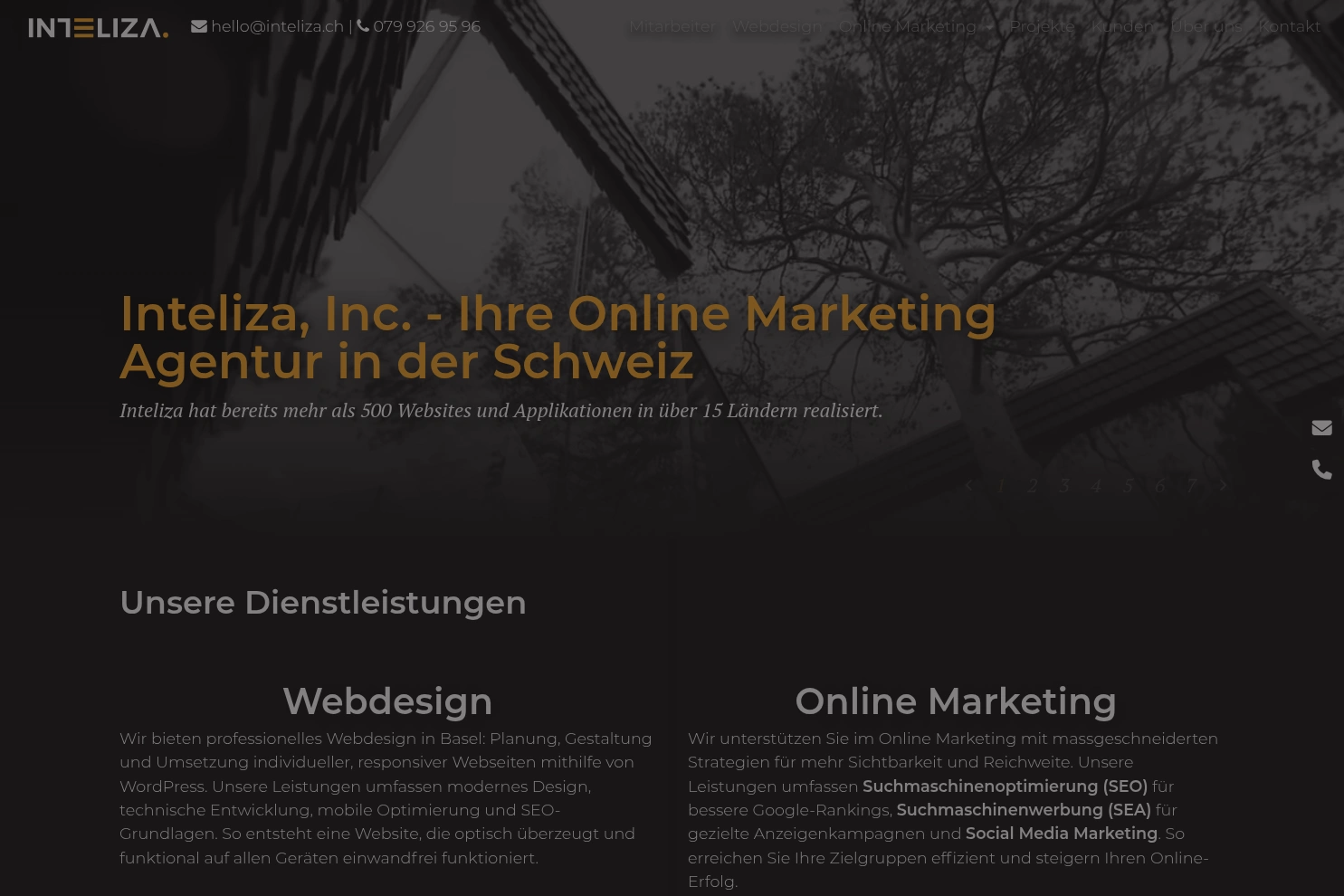 Preview of Inteliza GmbH