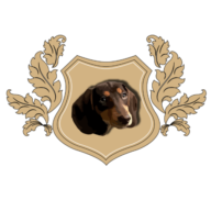 Favicon of JuniDesigns