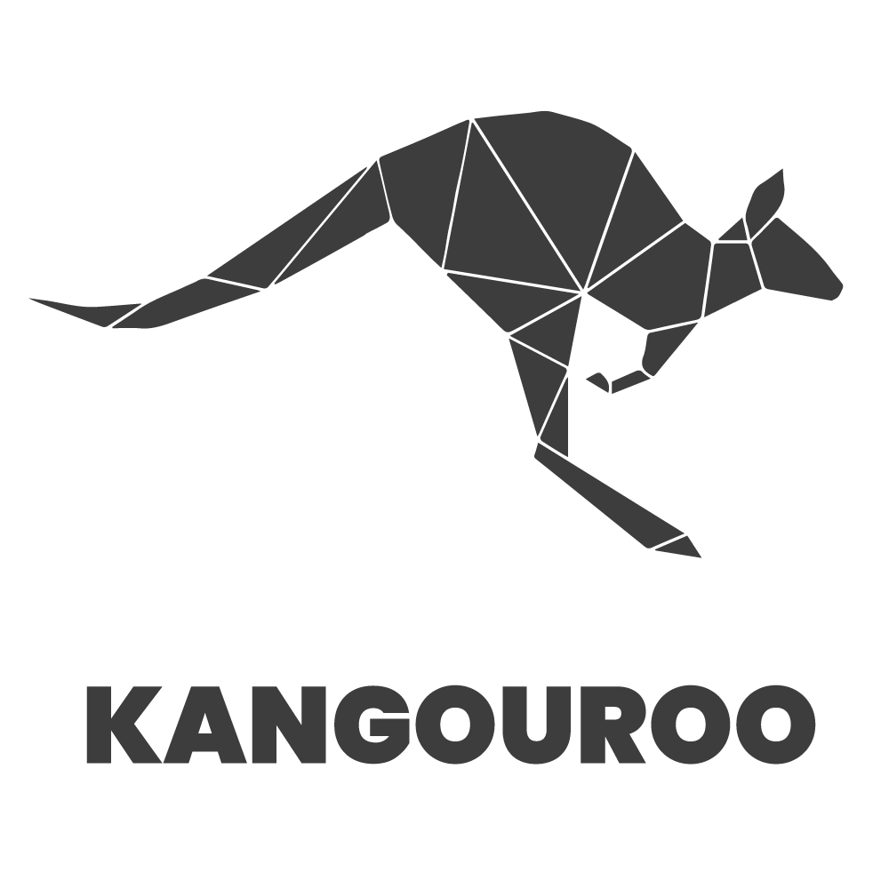 Preview of Kangouroo Webagentur Schweiz