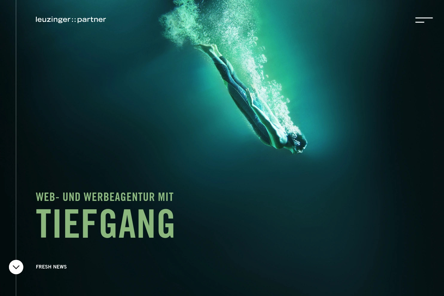 Preview of Leuzinger + Partner