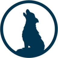 Favicon of Lupus Media