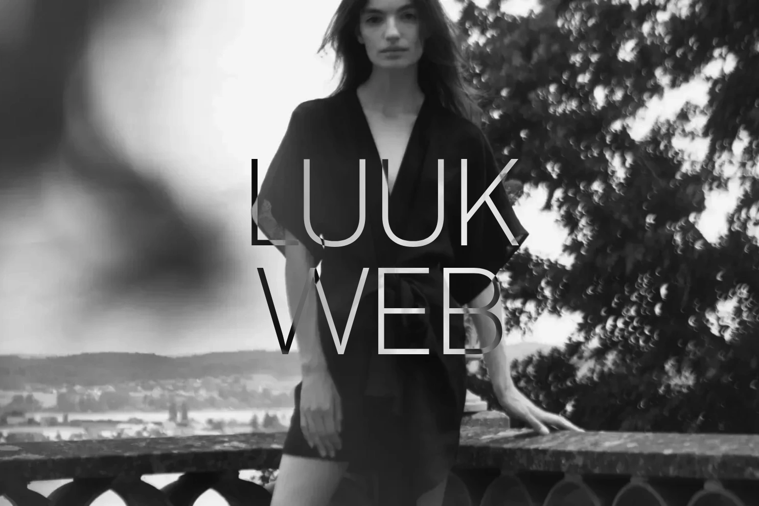 Preview of luukweb