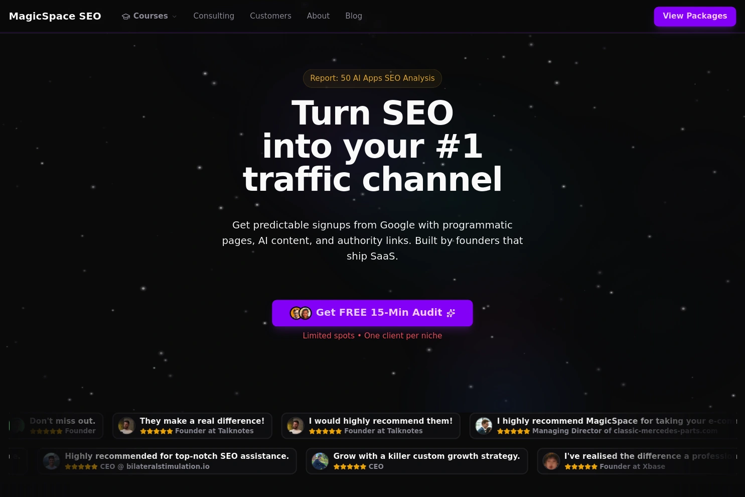 Preview of MagicSpace SEO