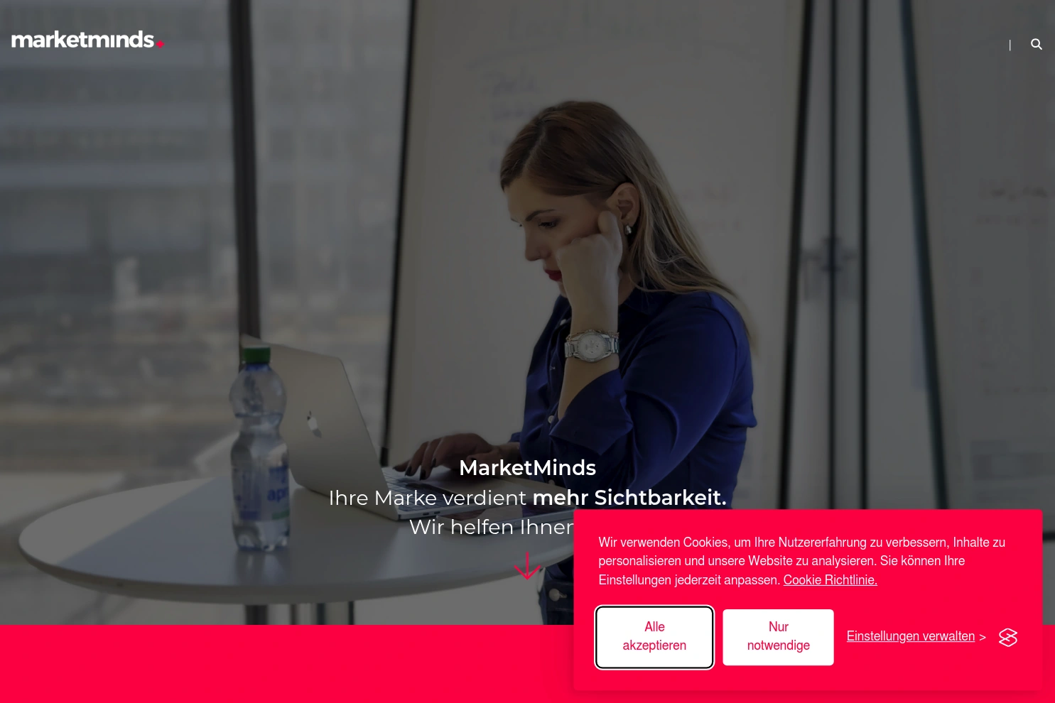 Preview of MarketMinds Marketingagentur