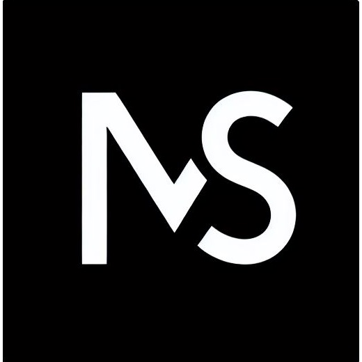 Favicon of Maxim Samsonov-Webdesign-St.Gallen