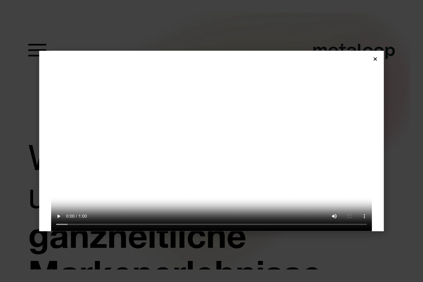 Preview of Metaloop AG