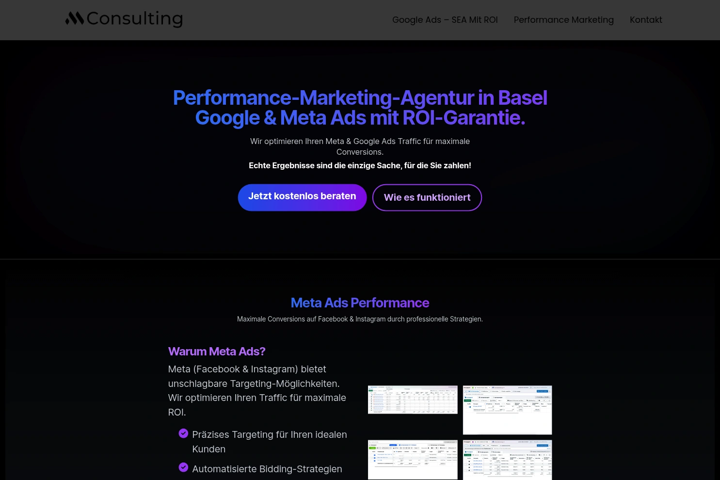 Preview of Mihaye Consulting