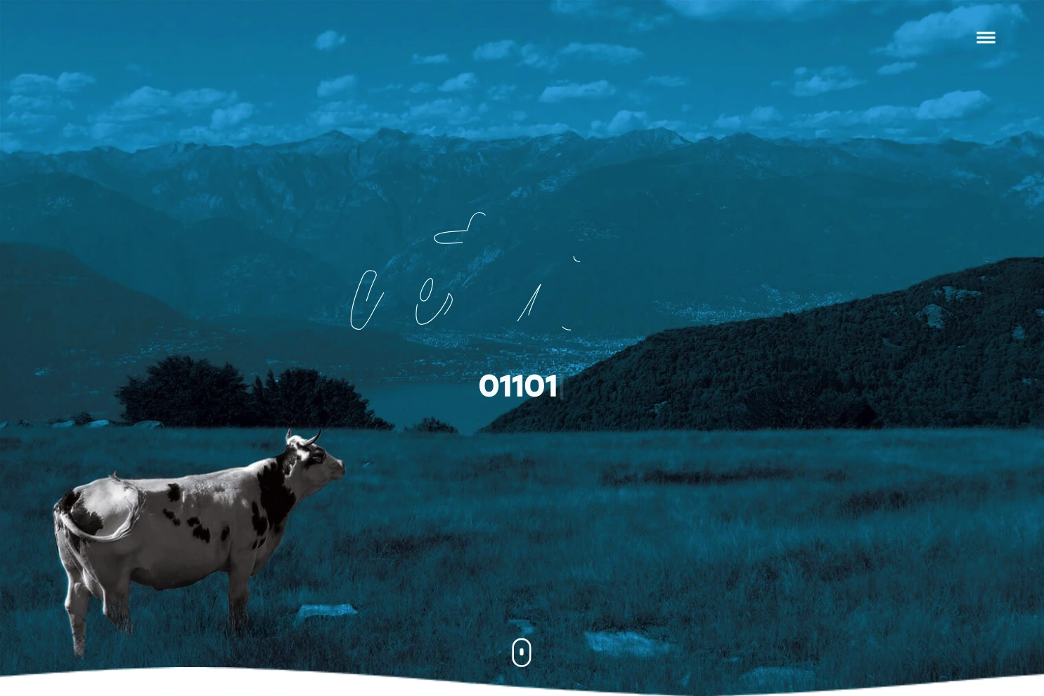 Preview of Netmilk Studio