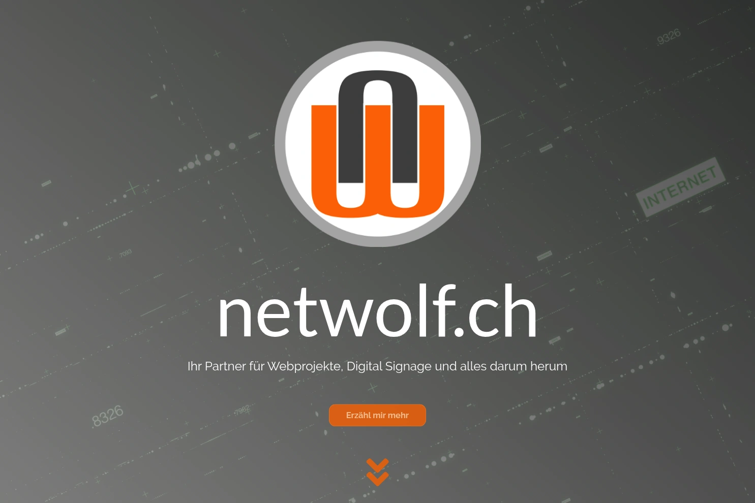 Preview of netwolf.ch