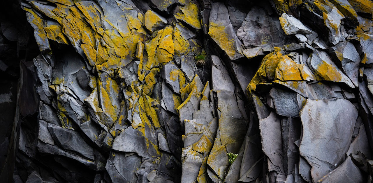 Preview of Nicolas Friedli