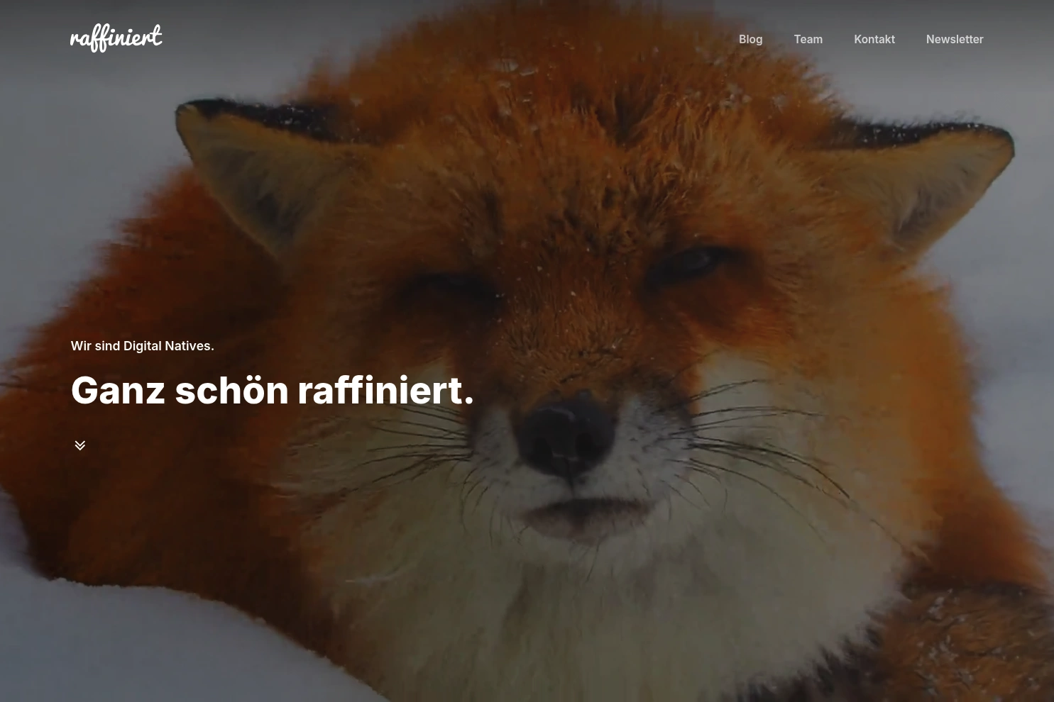 Preview of raffiniert media AG