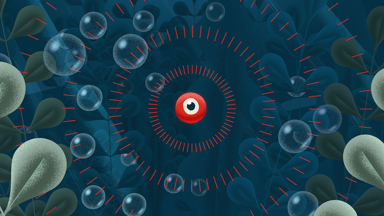 Preview of Raise Your Flag