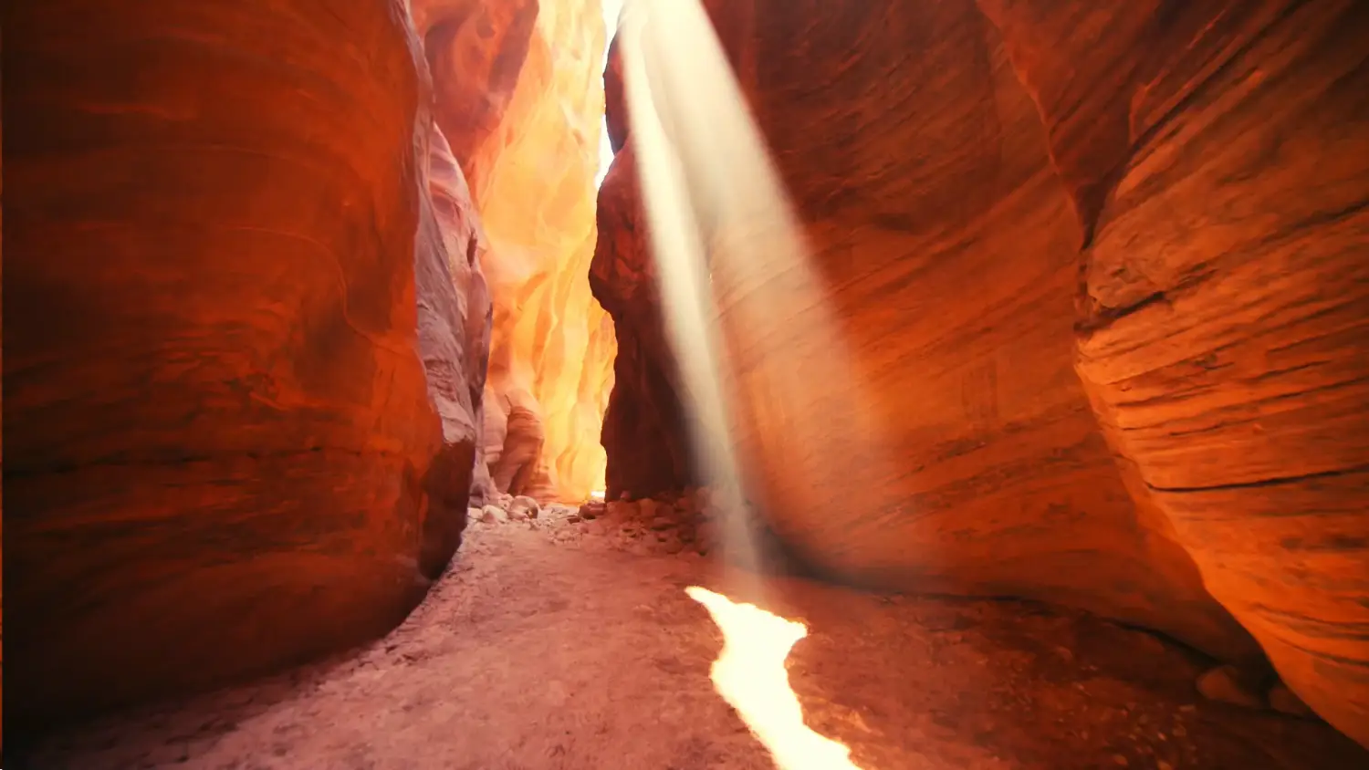 Preview of redgreenbird GmbH