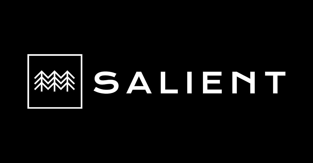 Preview of Salient Media