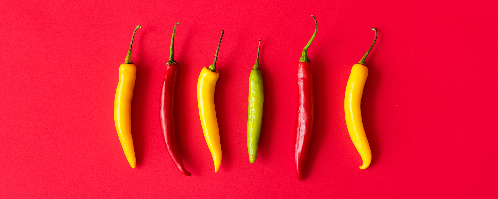 Preview of seitenkunst.ch