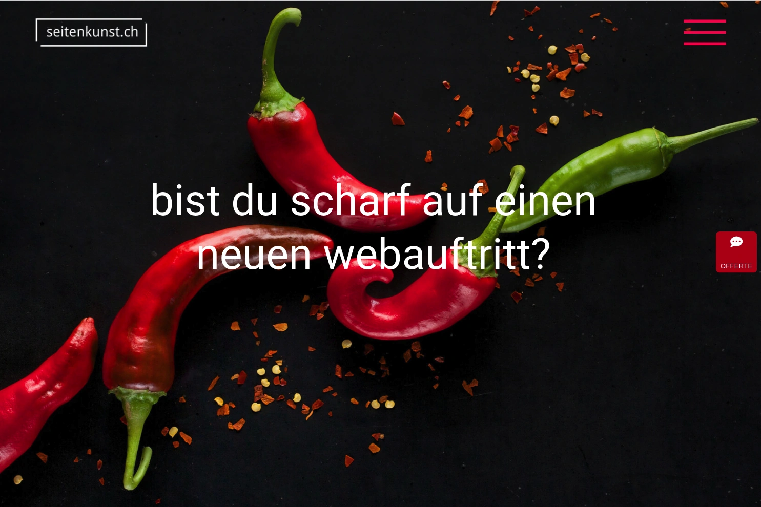 Preview of seitenkunst.ch