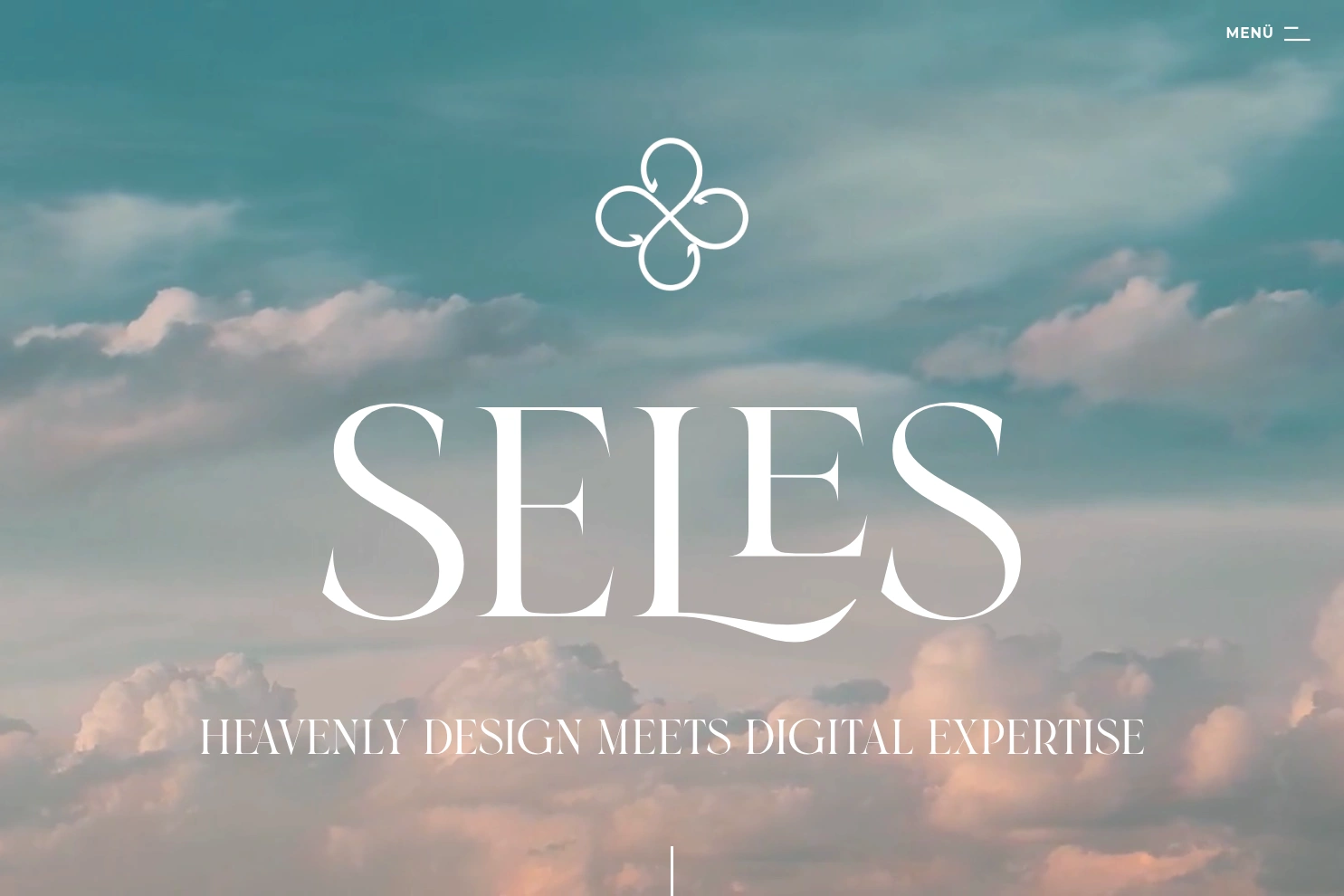 Preview of Seles Agency