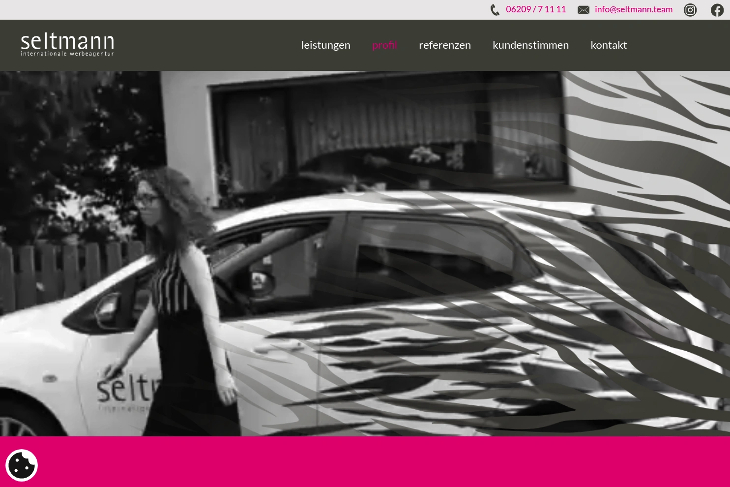 Preview of Willy Seltmann Webdesign