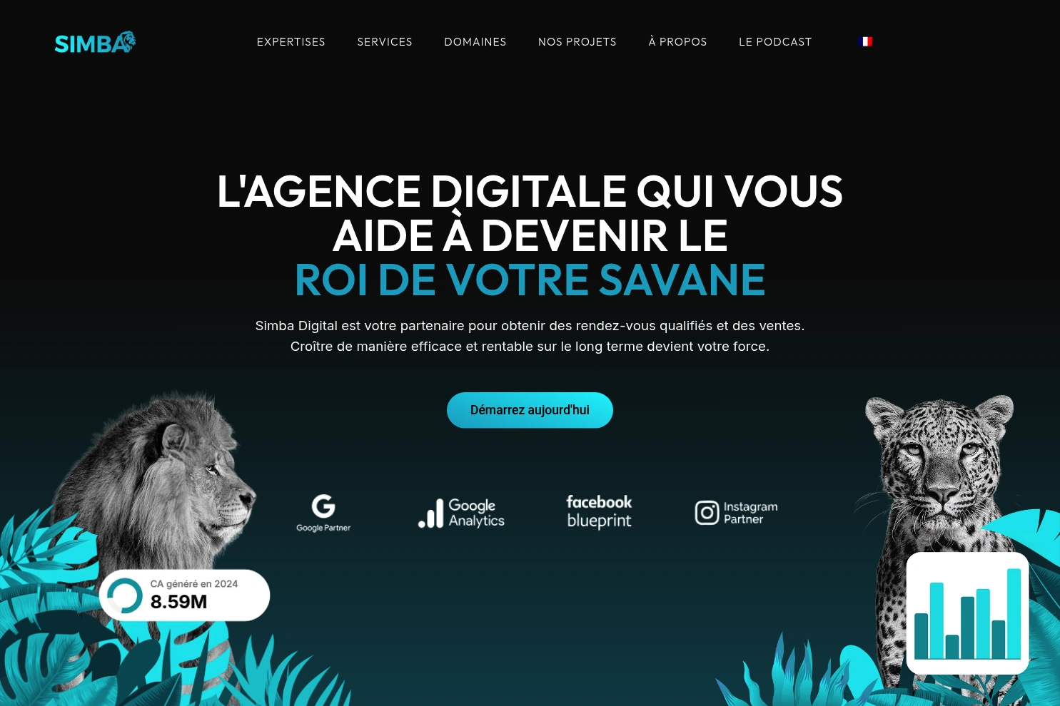 Preview of Simba Digital Sàrl