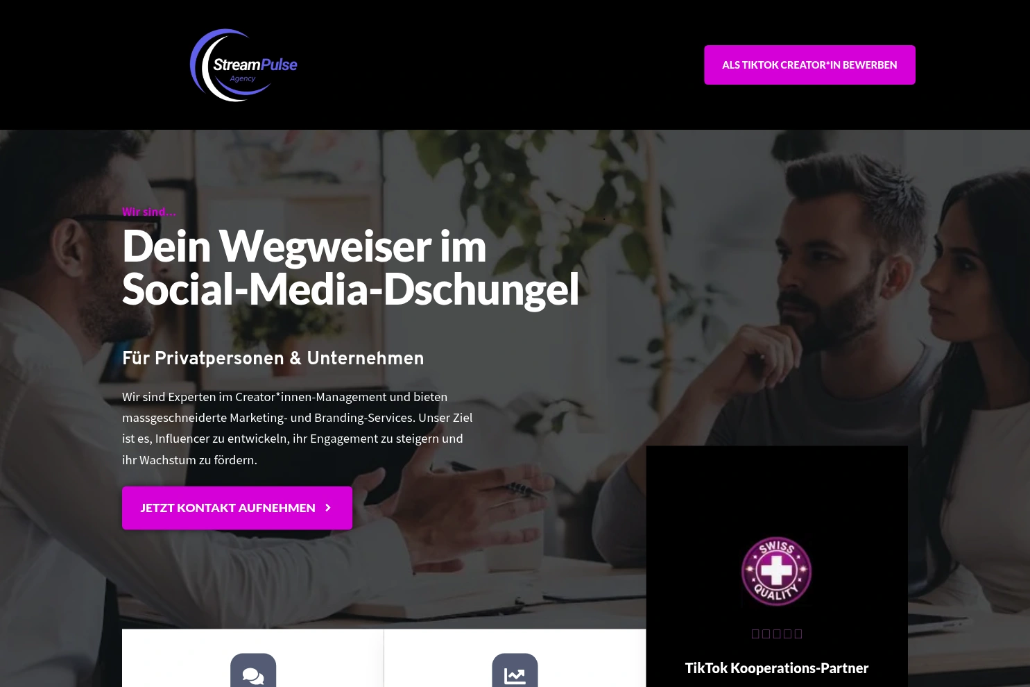 Preview of Stream Pulse Agency