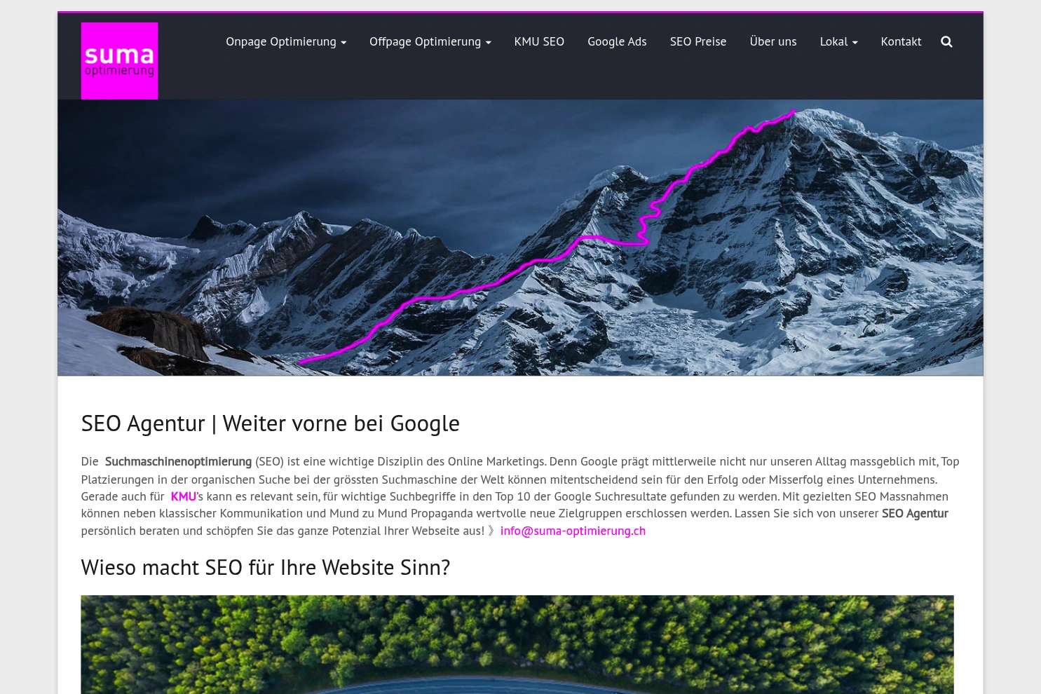 Preview of suma-optimierung.ch