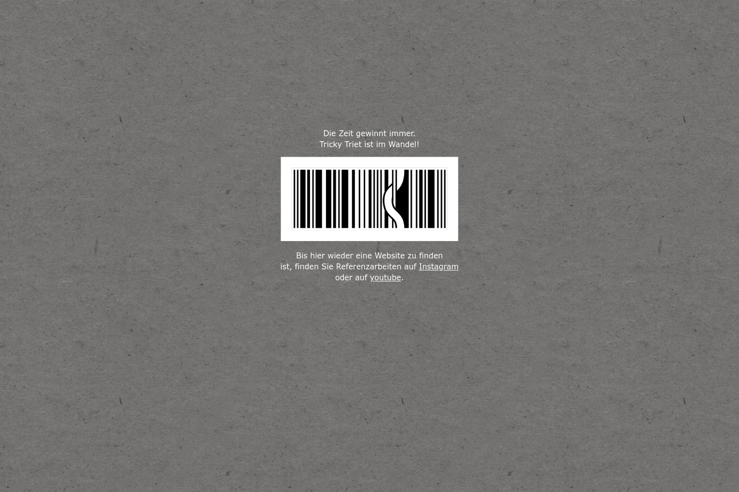 Preview of tricky triet GmbH