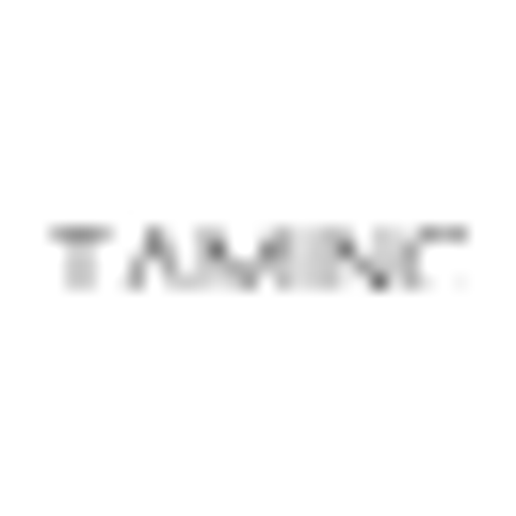 Favicon of Tamino Haas Webdesign & Marketing