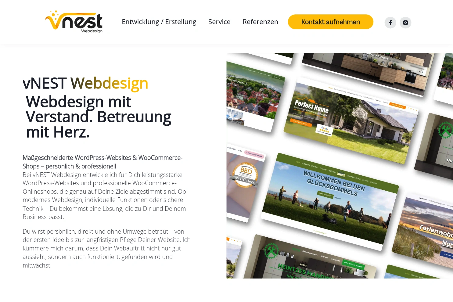 Preview of vNEST Webdesign