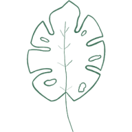 Favicon of Webdesign von Webjungle