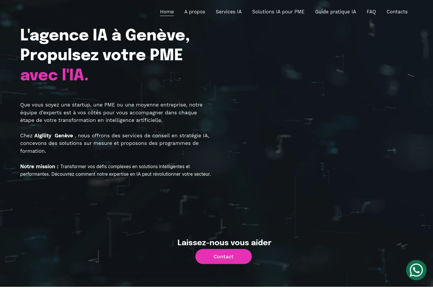 Preview of webmarketing-ninja