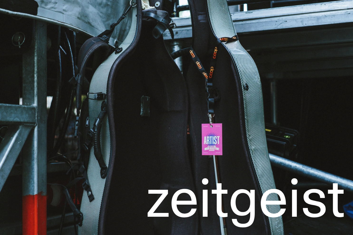 Preview of zeitgeist.ch